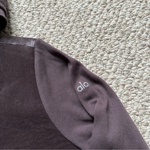 ALO Luxe Velour Long Sleeve Hoodie Sweatshirt in Raisin - Picture 5 of 5